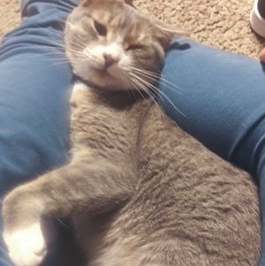 Meet your Posher, Meg